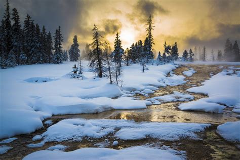 yellowstone national park winter tour