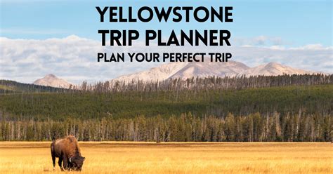 yellowstone trip planner 2023