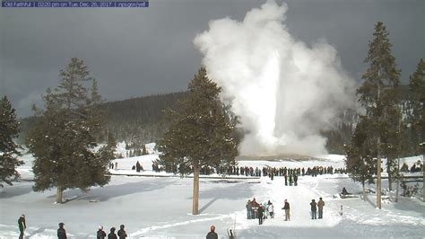 yellowstone webcams live streaming