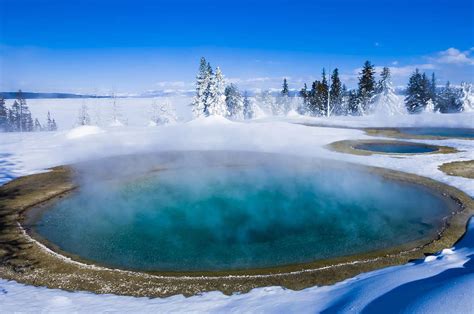 Yellowstone Winter Secrets Unveiled