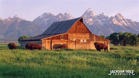 Yellowstone Zoom Background