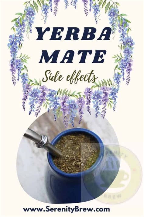 Yerba Mate Leaf Extract Side Effects