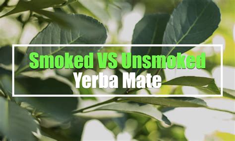 yerba mate smoked or unsmoked