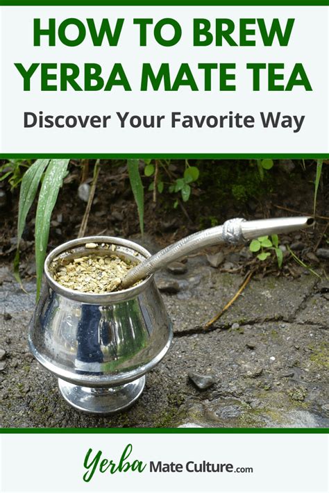 Yerba Mate Tea Temperature