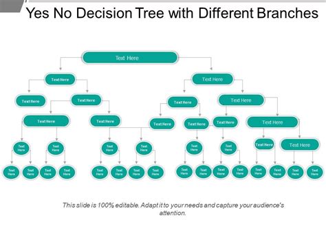 Yes No Decision Tree Graphics For Leadership Mentoring Model