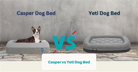 Yeti Dog Bed Vs Casper