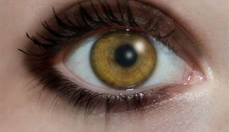 Les 25 meilleures idées de la catégorie Les yeux jaunes