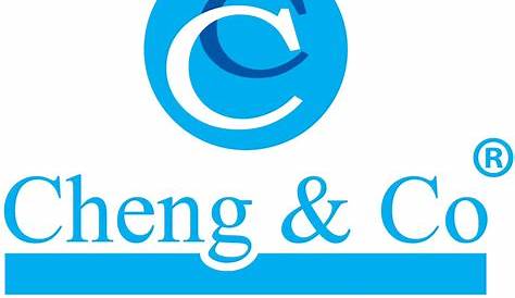 Company Overview - Shanghai Chungkong Yinyi Digital Technology Co., Ltd.
