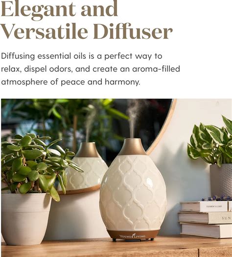 Young Living Desert Mist Diffuser with Essential Oils young living