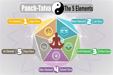 Yoga Body Elements