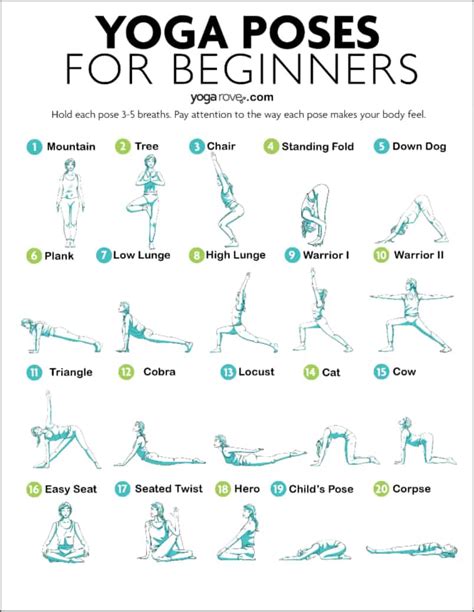 Start Your Journey: 10 Essential Yoga Poses for Beginners to Master