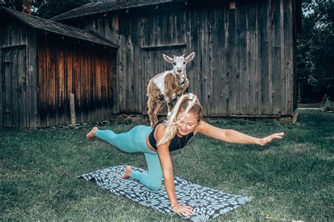 yoga with a goat