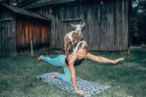 yoga with goats near me