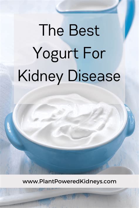 Yoghurt Kidney Disease
