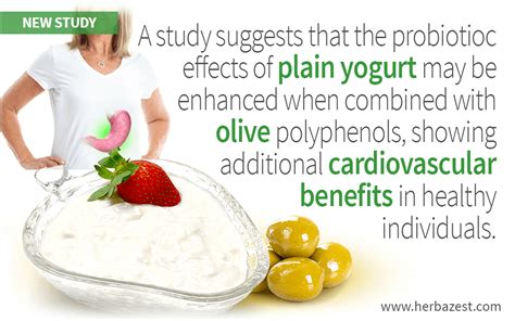 Yoghurt Polyphenols