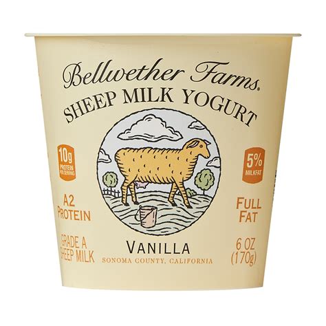 yogurt from sheep milk