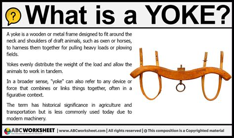 Yoke Definition And Function