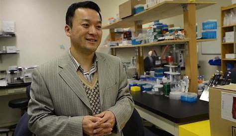 Research of Yong Wang: Research Team | Voiland School of Chemical