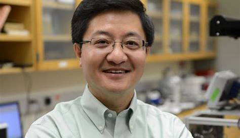 Yong Wang, Binghamton Universi [IMAGE] | EurekAlert! Science News Releases