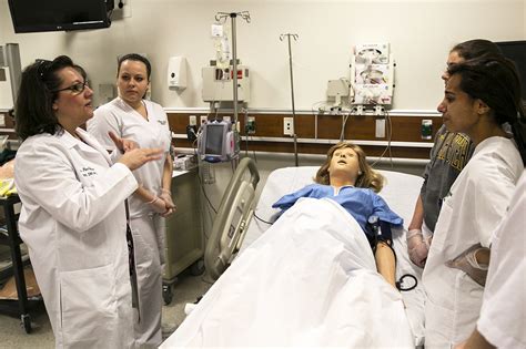york college nursing program prerequisites