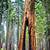 yosemite national park to redwood national park