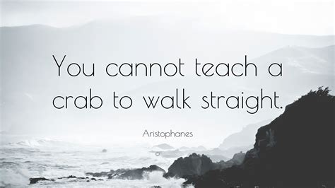 Aristophanes Quote You cannot teach a crab to walk straight.
