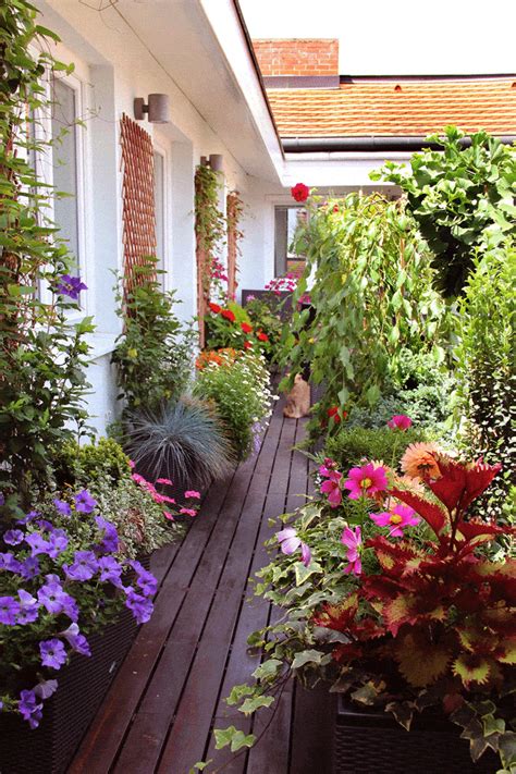 30 Small Balcony Garden Ideas For City Apartment