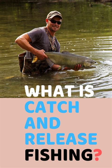 you catch tag and release fish