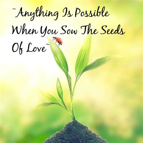 you plant a seed of love