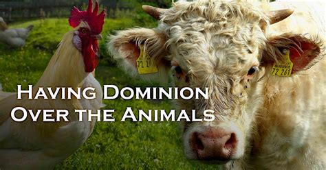 you shall have dominion over the animals