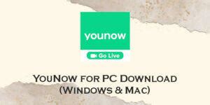 younow download for windows
