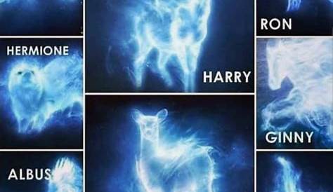 Your Harry Potter Patronus - Quiz