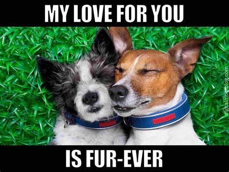 101 Funny "I Love You" Memes to Share with People You Like