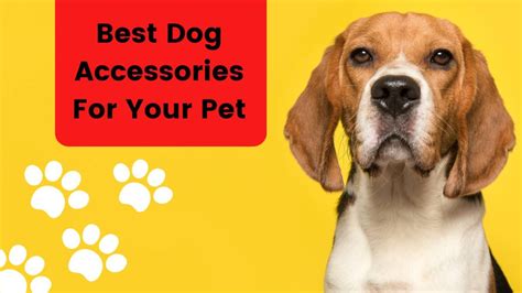Your Pets Accessories