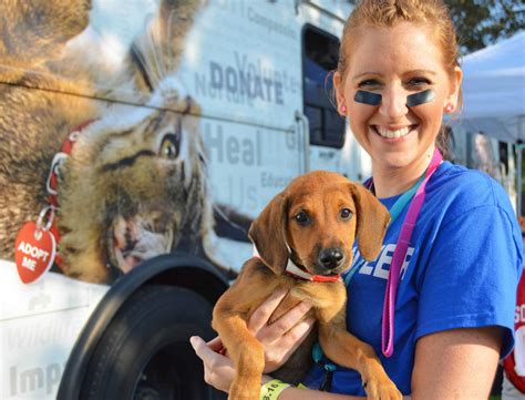 Local Animal Shelter 4 Myths About Volunteering