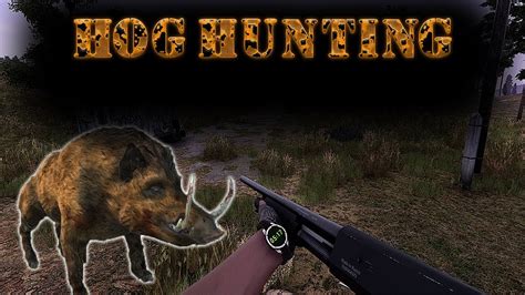 Youtube Hog Hunt Shotgun