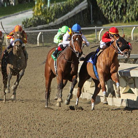 youtube horse racing preakness