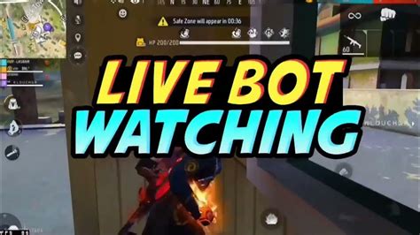 youtube live bot