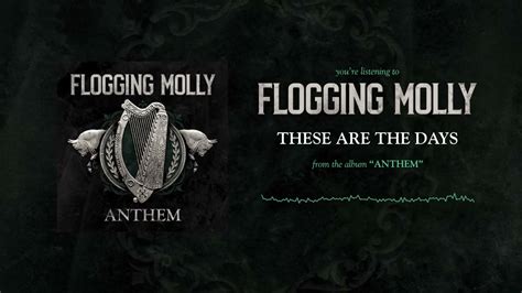 youtube music flogging molly