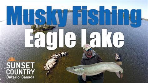 youtube musky fishing videos eagle lake