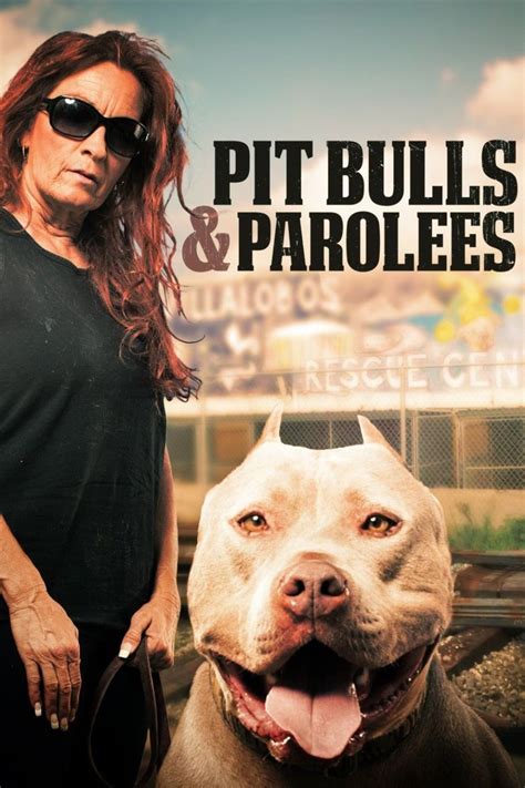 youtube pit bulls and parolees