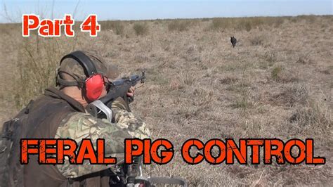 youtube shooting feral hogs