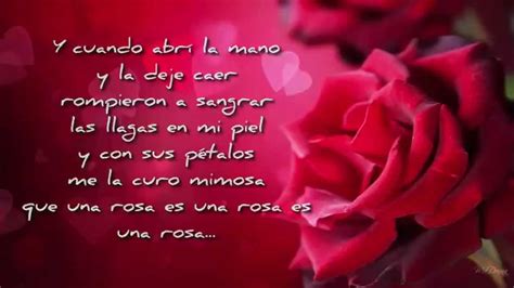 youtube una rosa es una rosa