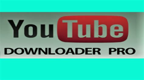 youtube video downloader professional