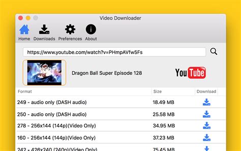 youtube video downloader software