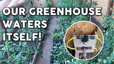 Youtube Watering System