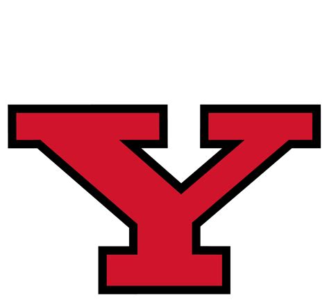 ysu cost
