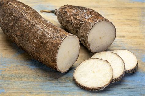 yuca root vegetable