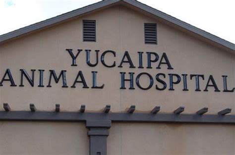 yucaipa animal hospital reviews