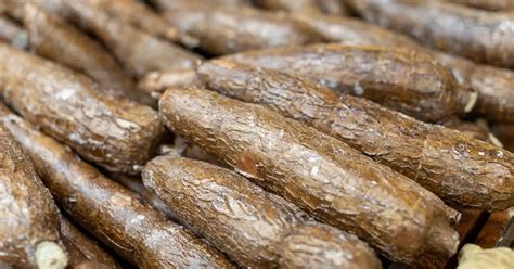 yucca root hair benefits